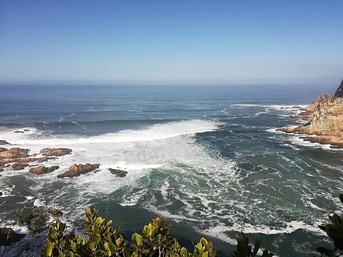 Knysna Herons Guest House Dış mekan fotoğraf