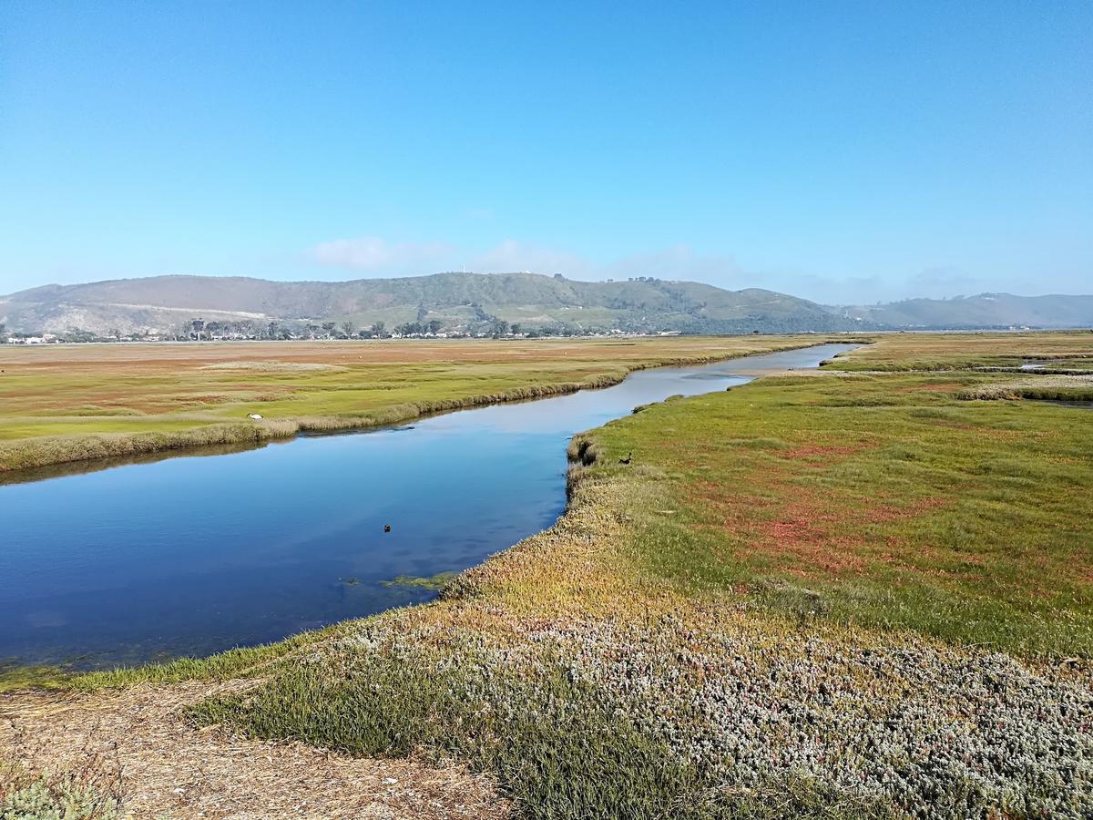 Knysna Herons Guest House Dış mekan fotoğraf