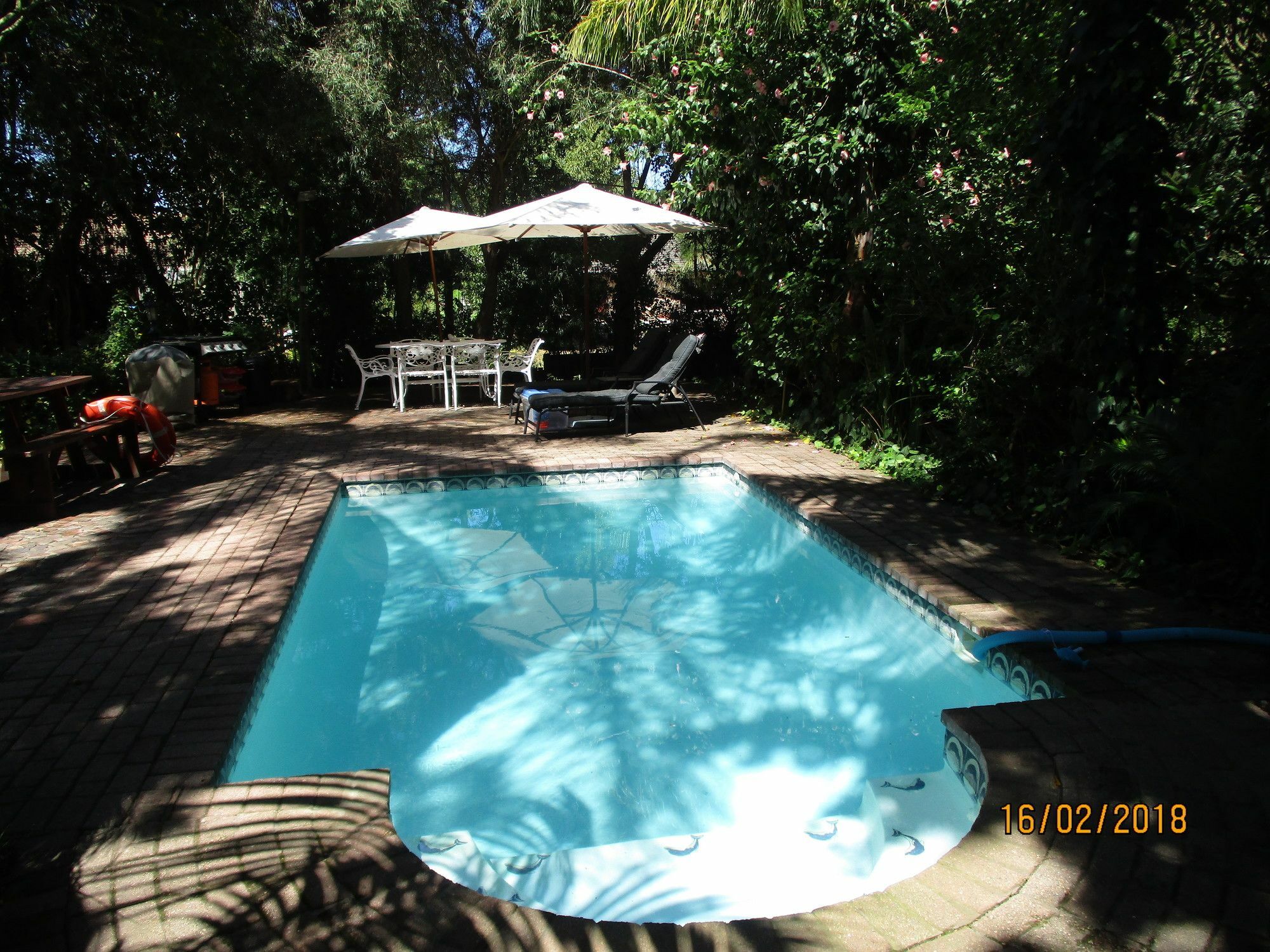 Knysna Herons Guest House Dış mekan fotoğraf